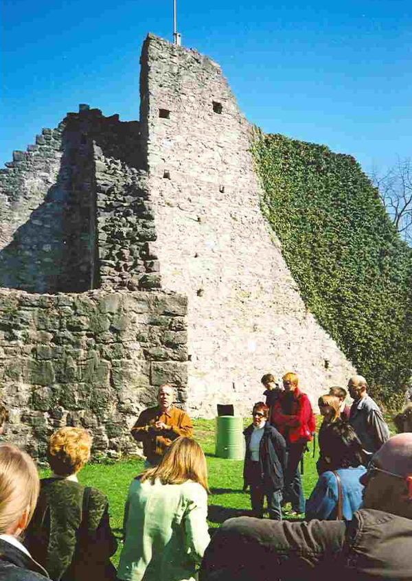 Burgruinen Schellenberg (FL)