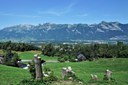 2019, 28. August - Historischer Abendspaziergang in Schellenberg 2019, 28. August - Historischer Abendspaziergang in Schellenberg